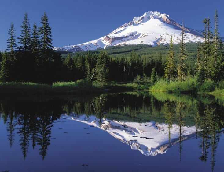 online dispensary canada bc buy weed online Northwest Territories