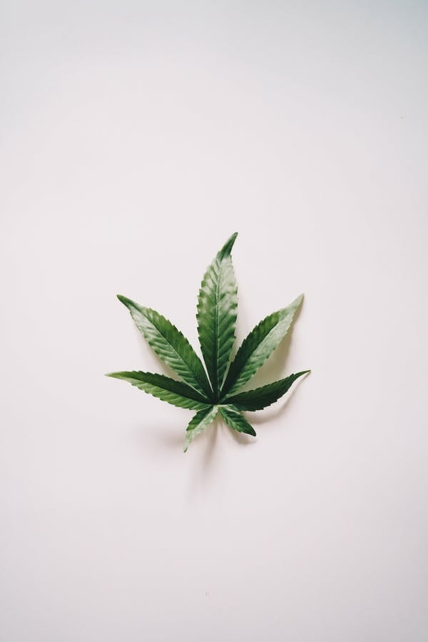 Best online weed delivery Manitoba Manitoba cannabis store