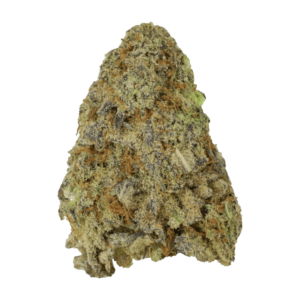Himalayan Blackberry AAA