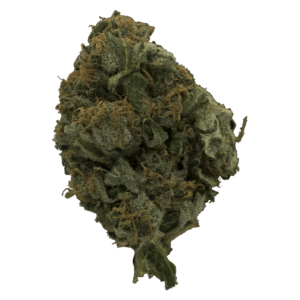 Sweet Cheese