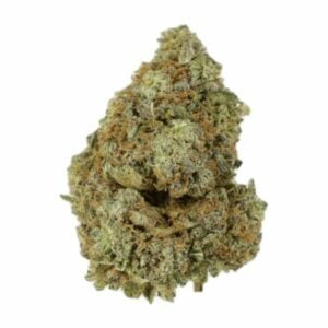 Grass Grandaddy