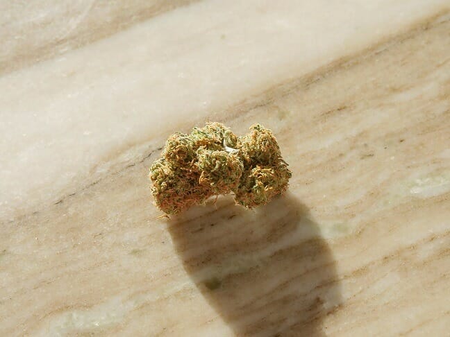 Grasslife Cannabis Strains in Canada