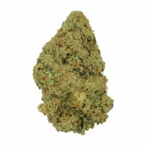 GrassLife - MACDRIVER