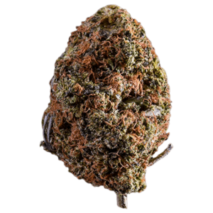 GrassLife - ADG Hank