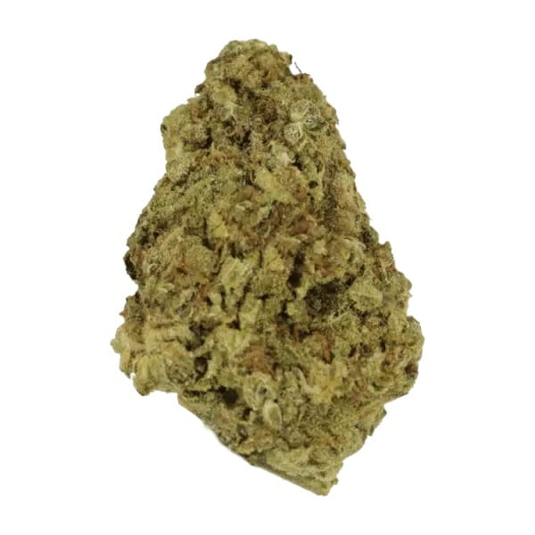 Red Congo red-congo
