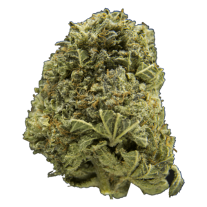 Watermelon Mimosa