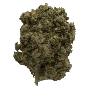 GrassLife - Dutch