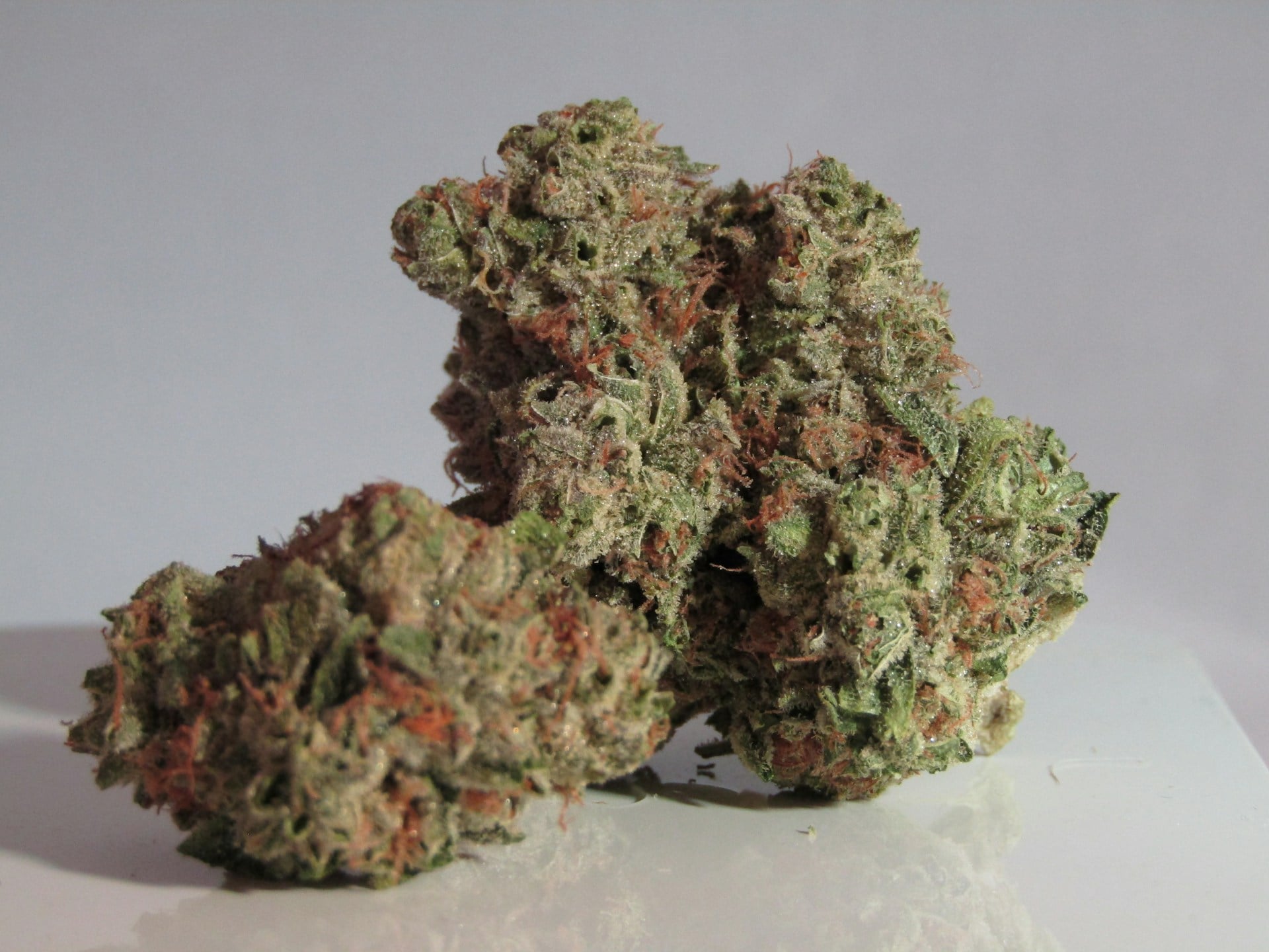 Blue Coma Strain Could It Help You Stay Fit and